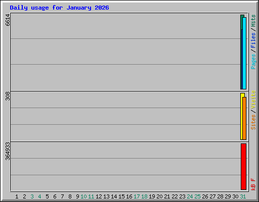 Daily usage for January 2026