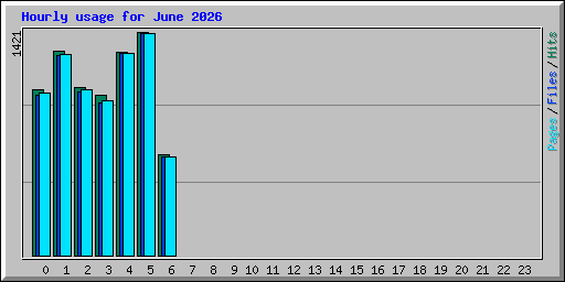 Hourly usage for June 2026